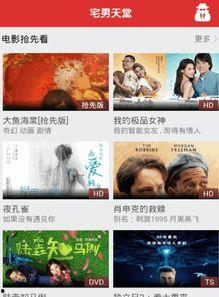 最新国产 magnet,引领潮流的全新国产Magnet解析