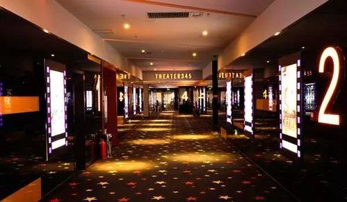 四虎影院国产,国产影视的崛起与繁荣