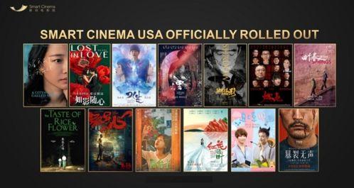 四虎影院国产,国产影视的崛起与繁荣